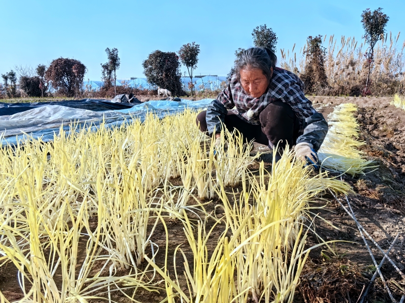 01ea5d32b8c78bc56cbb46475746fd74