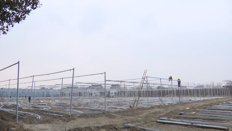 黄桥现代农业产业园:智能温室助力现代农业高质量发展