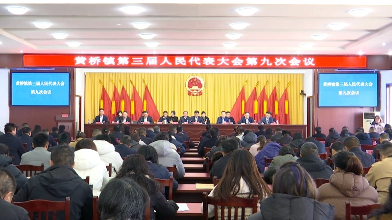 黄桥镇人代会审议通过十五年国土空间总体规划