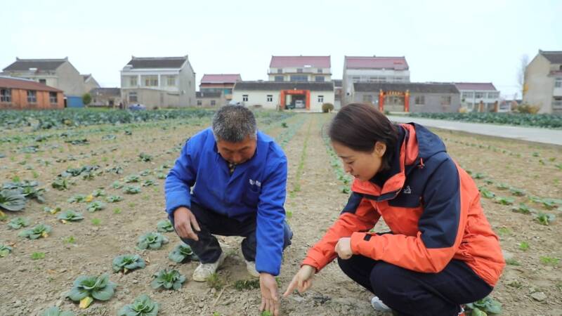 小地块 大“钱”坤