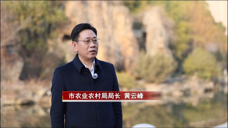 市农业农村局:锚定农业强市目标 实干绘就“三农”新篇