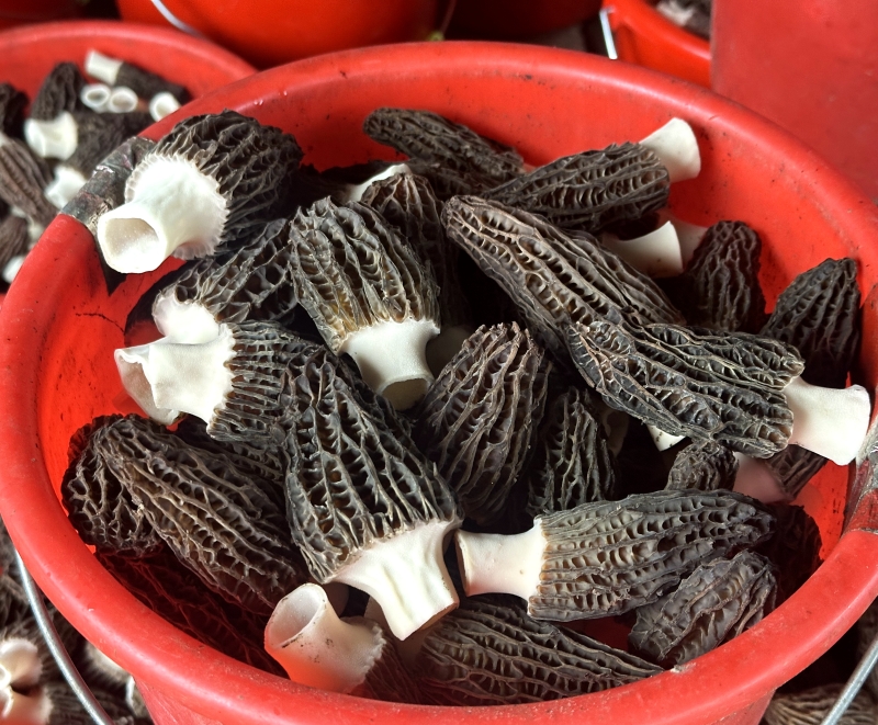 d99a934ca6e05914d14c001af935f1d9