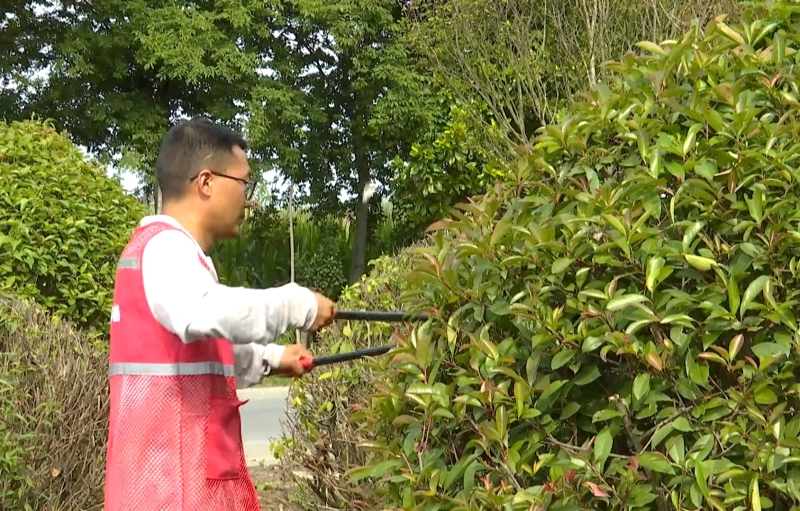 黄桥镇:干群同心 打造和美乡村