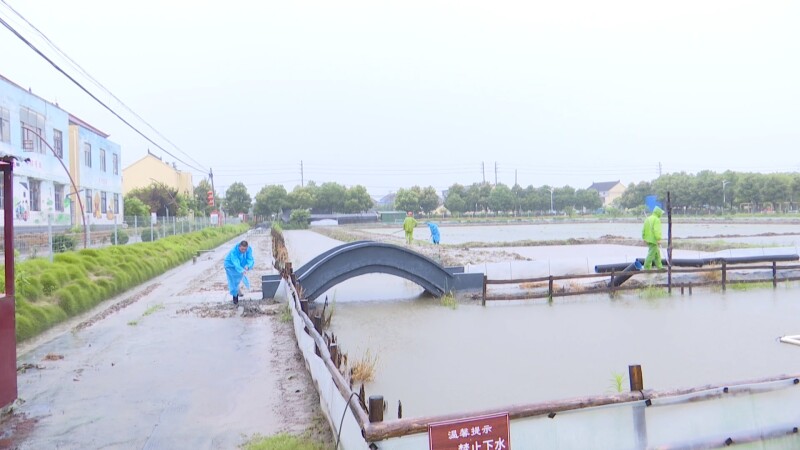 分界滕兴村:党建引领聚合力 田埂上实干护产业