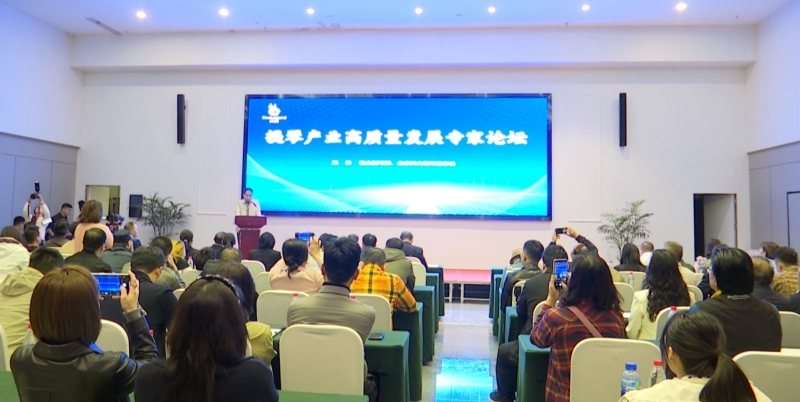 提琴產業高質量發展專家論壇在黃橋舉行