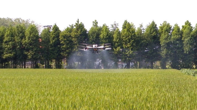 市供銷合作總社:全鏈條服務賦能現代農業 當好種糧戶 “田保姆”