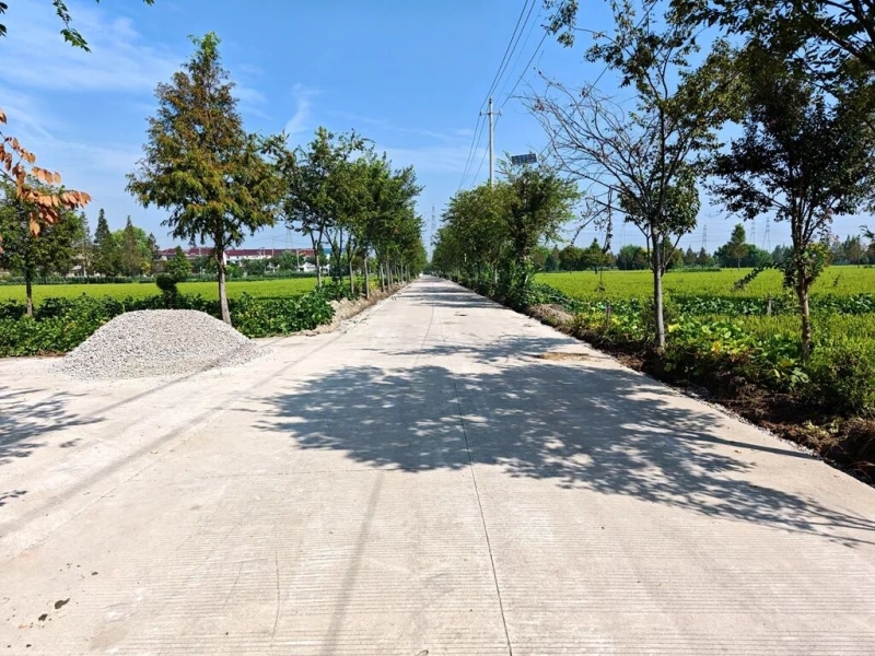 開工建設!2025年“四好農村路”