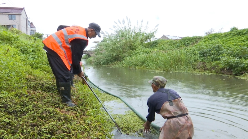 從“各自管”到“合力治” ,我市積極探索跨界河湖治理新路徑